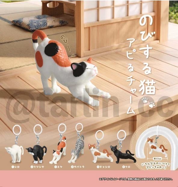 기지개 켜는 고양이 아피루 참
