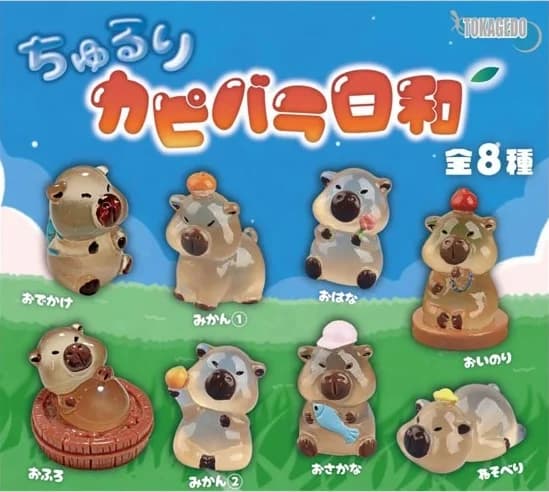 츄루리 카피바라 히요리