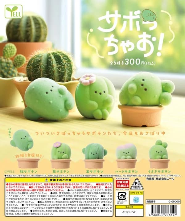 사보칫챠오