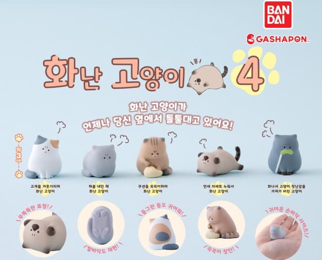 화난 고양이 4