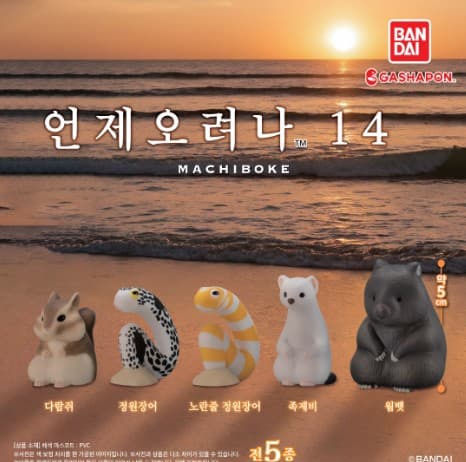 언제오려나 14