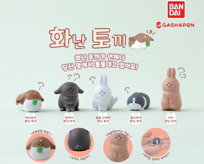 화난 토끼