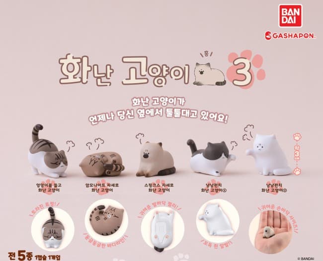 화난 고양이 3