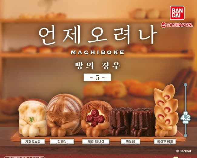 언제오려나 빵의 경우 5