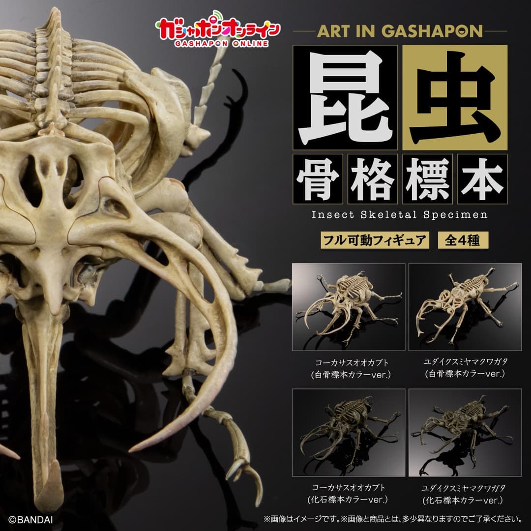 Art in Gashapon 곤충골격표본