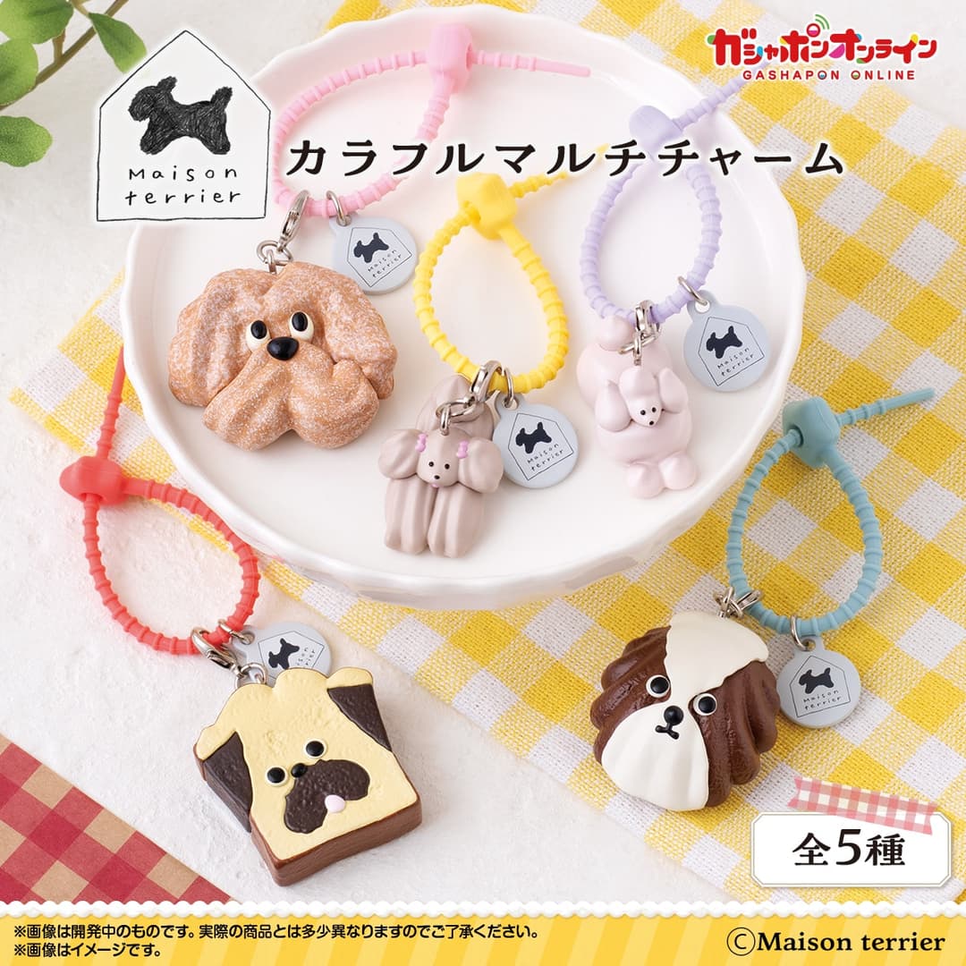Maison terrier 메종테리어 컬러풀 멀티 참